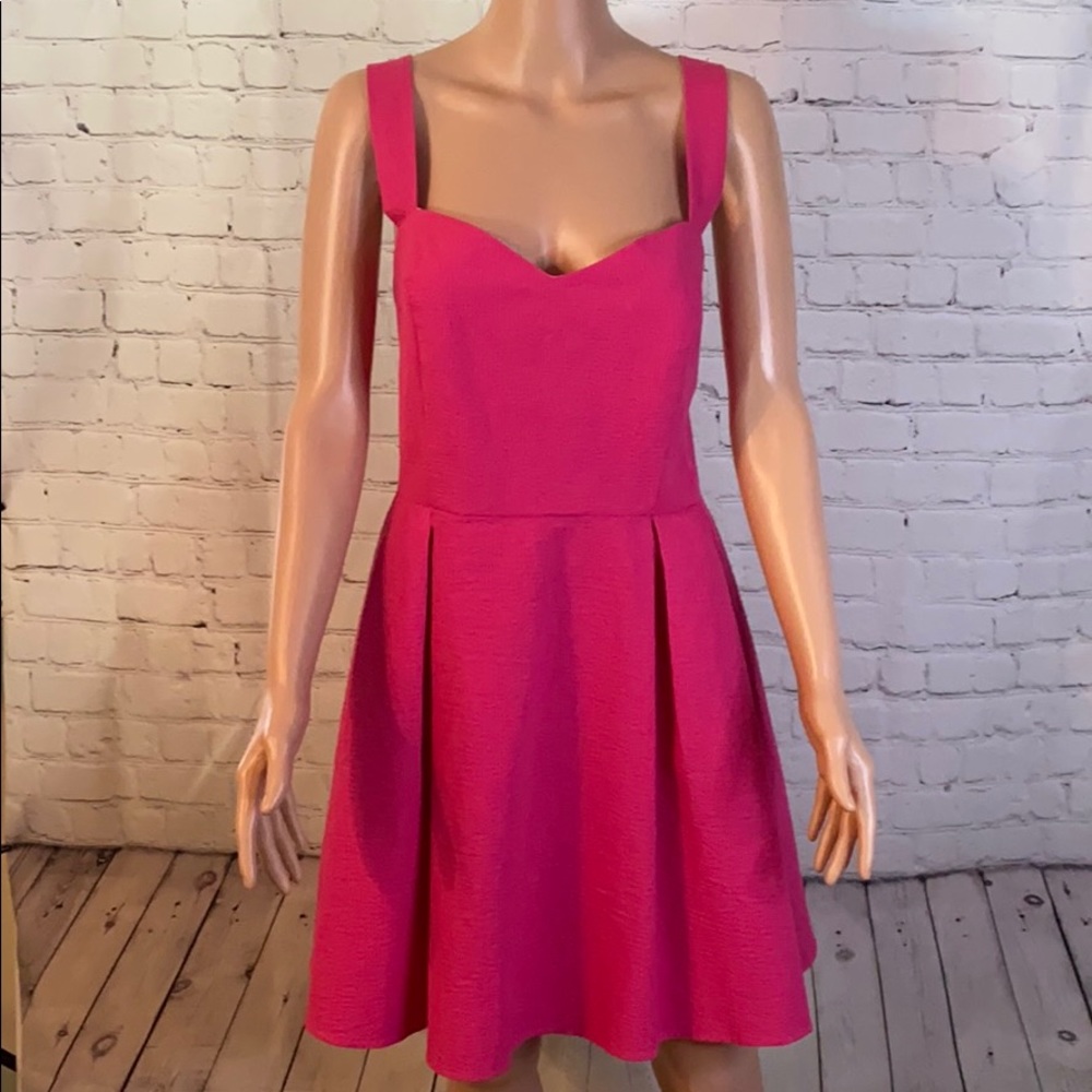 Lauren James Raspberry Livingston derby Dress Nwt hot pink
